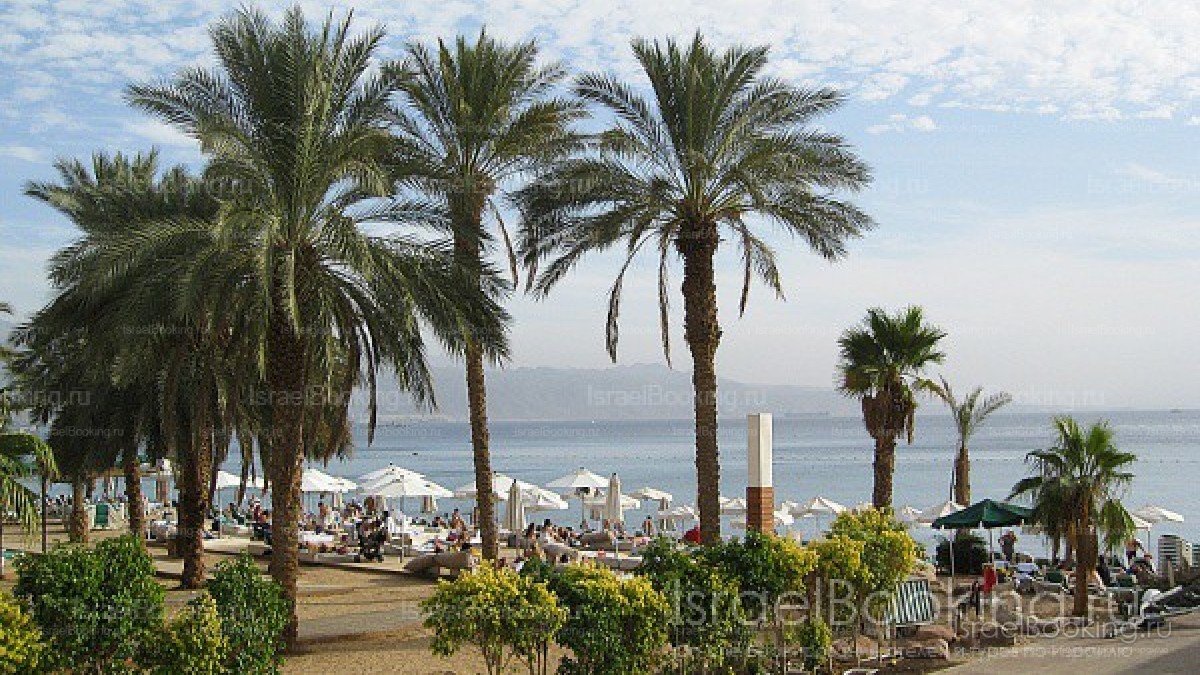 Boat trip around the Bay.