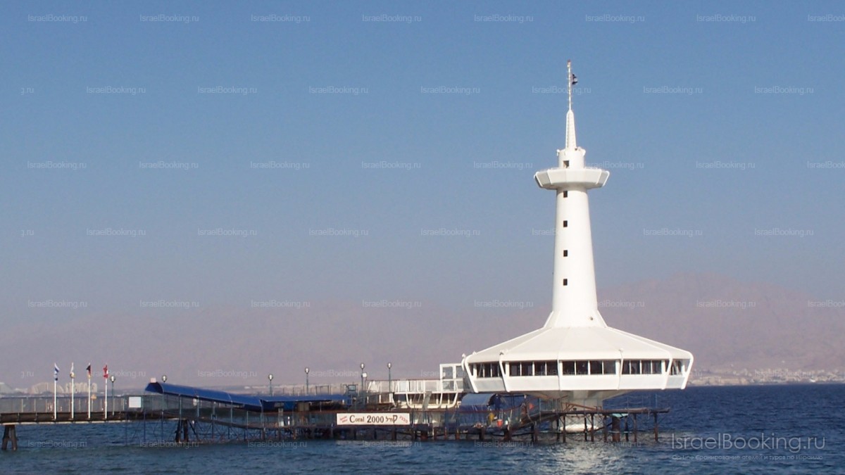 Boat trip around the Bay.