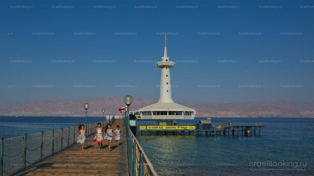 Boat trip around the Bay.