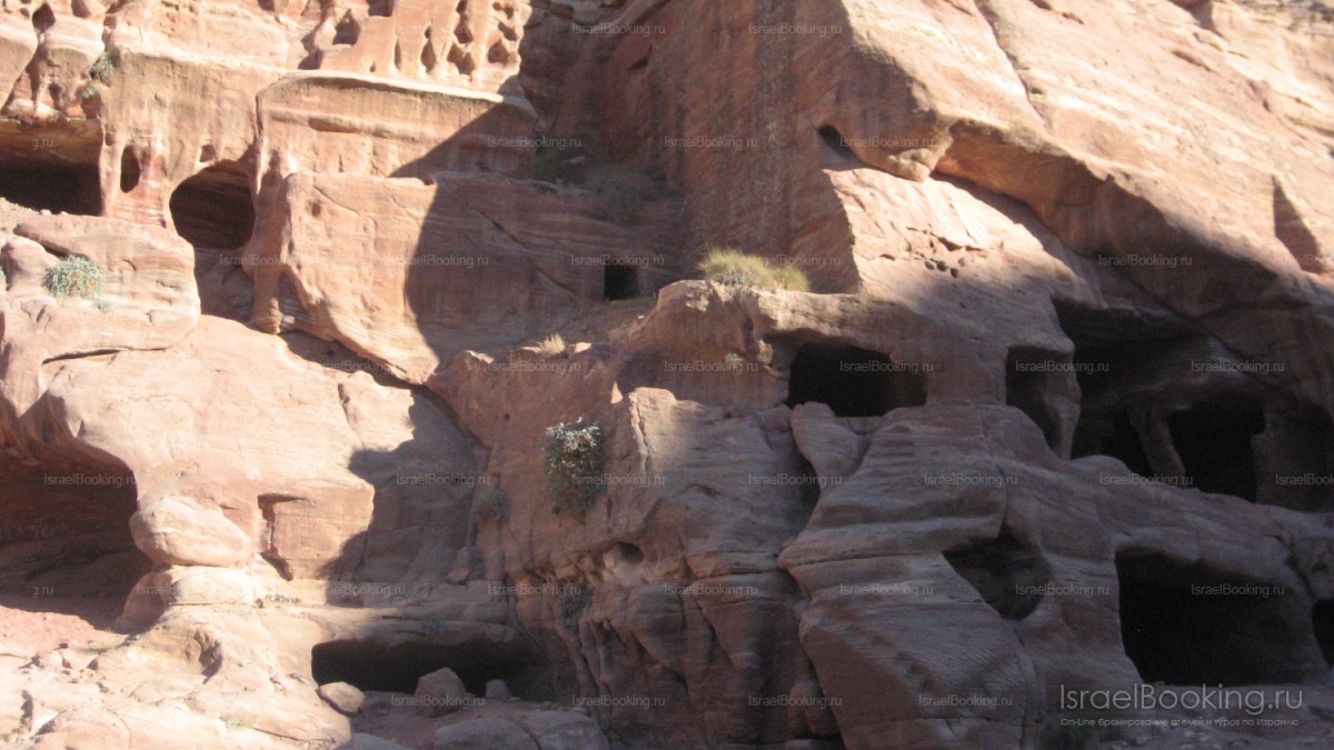 Tour to Petra   dinner